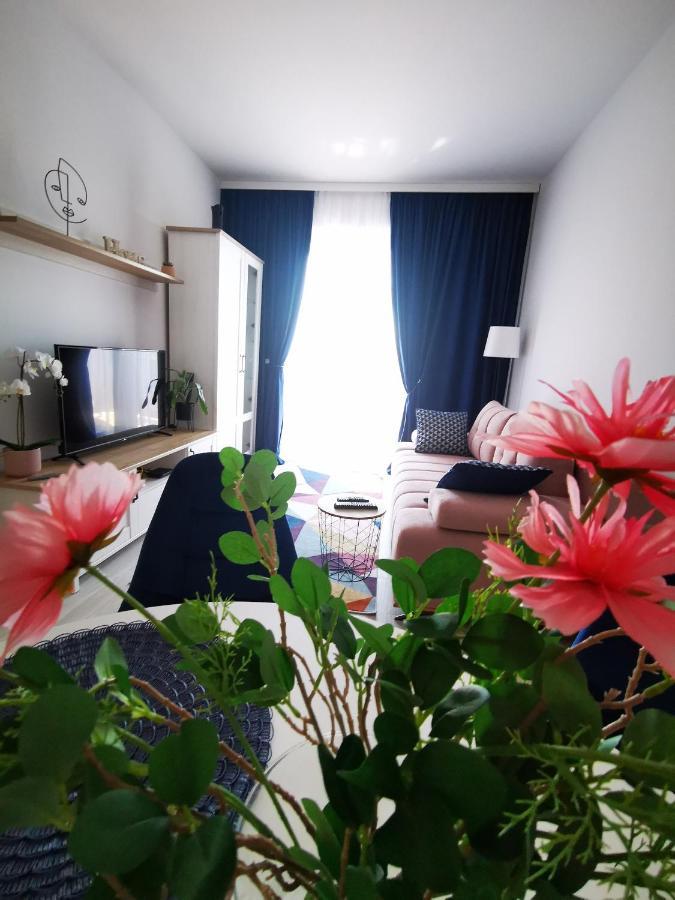 Karra Residence Timisoara - Autorizat Ministerul Turismului ภายนอก รูปภาพ