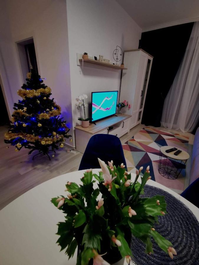 Karra Residence Timisoara - Autorizat Ministerul Turismului ภายนอก รูปภาพ